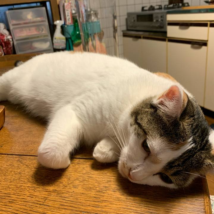 00fc270f 4b62 4d6b b797 0c45090105ee 1627778257760