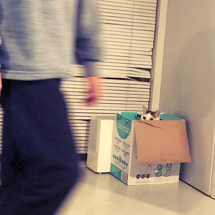 00fc2782 3daf 4e41 bc2e 31e09e1e44c0 1516578125368