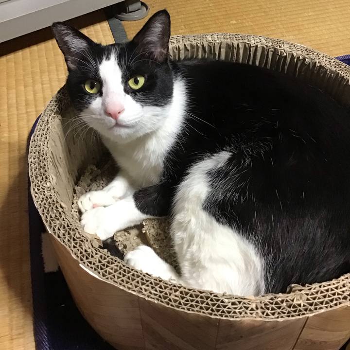 00fc5ca3 ac46 4673 9253 b4539e3a4c29 1709371630400