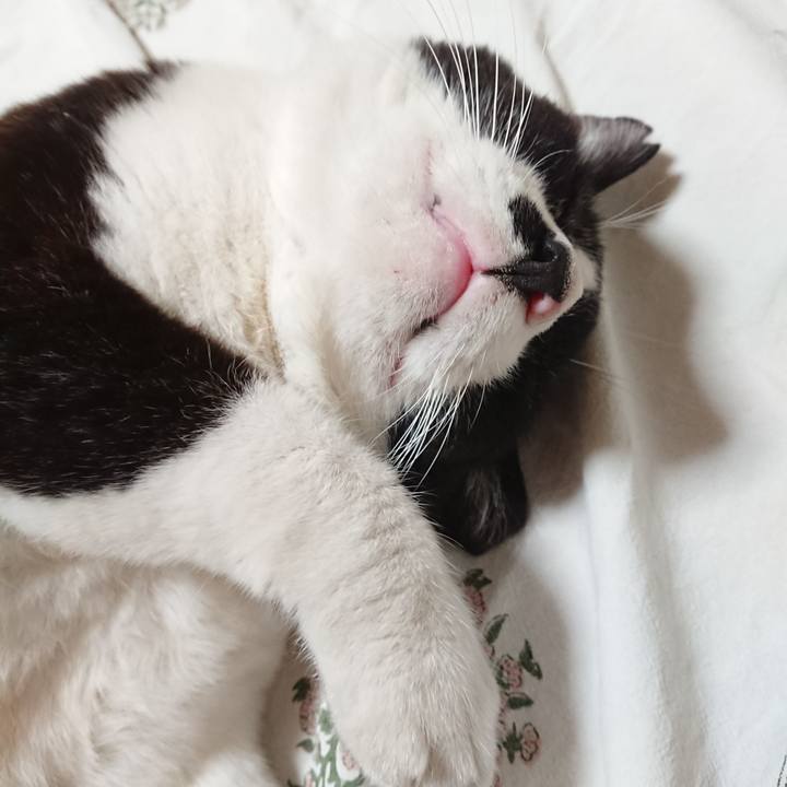 00fc7d87 0767 42e5 88c6 cd6d52a2a2cf 1633512163245