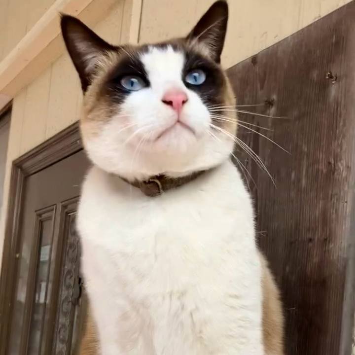 00fc9590 f899 41b8 bad3 ccdd9eb6c8fb 1742177072952