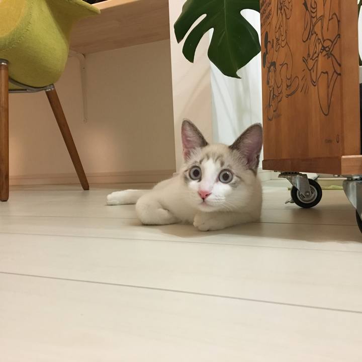 00fc9811 43da 4ce0 8e12 6bbc19066819 1510456255130