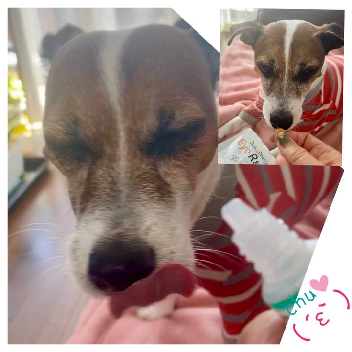 00fcbdbd 2474 4660 bee6 feff70f8a25e 1763624960160