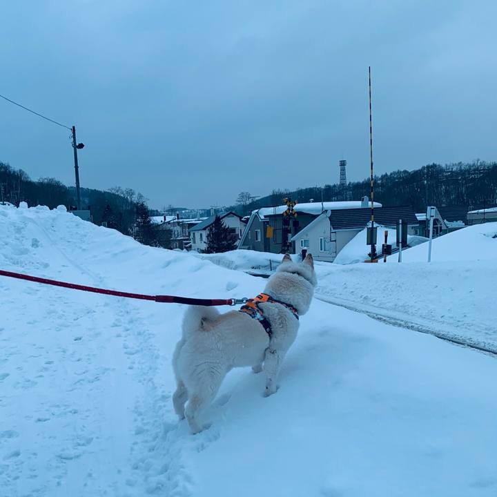 00fcd509 2ecb 4418 abeb f9350b8d6980 1676069973433