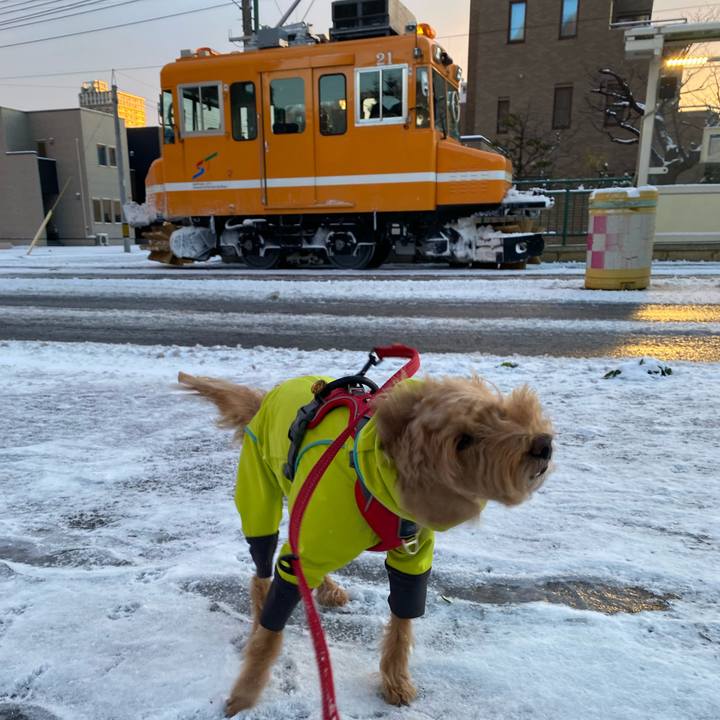 00fce794 fbef 4783 bbeb c73a978f79ad 1700864553462