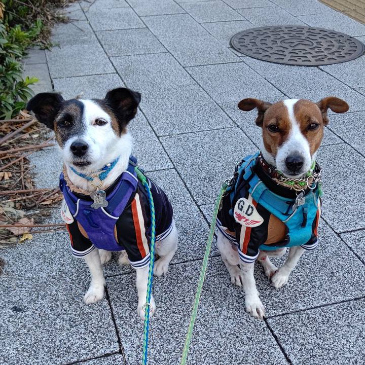 00fcf15a d9f6 42dc a500 8a74d5911592 1636759504089