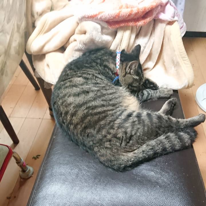 00fd601e 9f50 4f15 87ea 2bbc6da28374 1659046477142