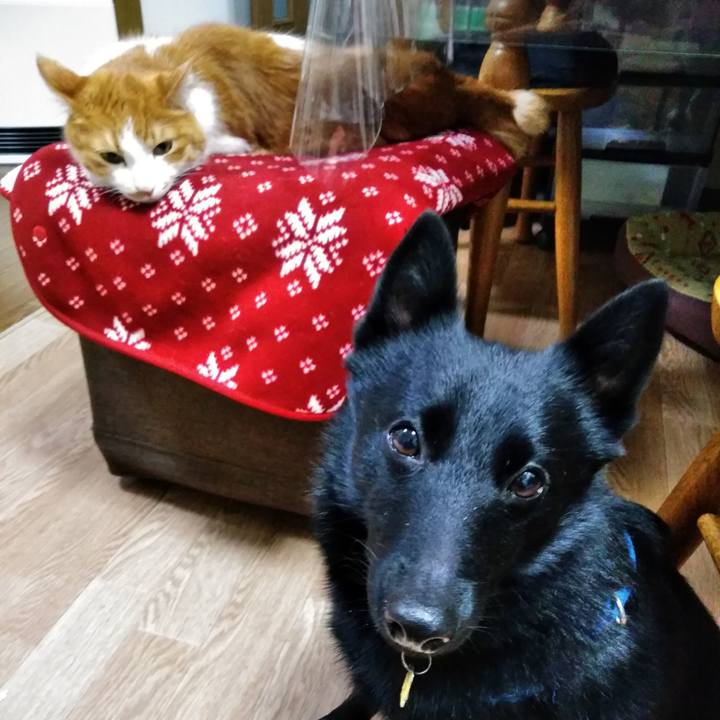 00fd7418 3aea 4946 bbb8 0038499b7496 1577094188511