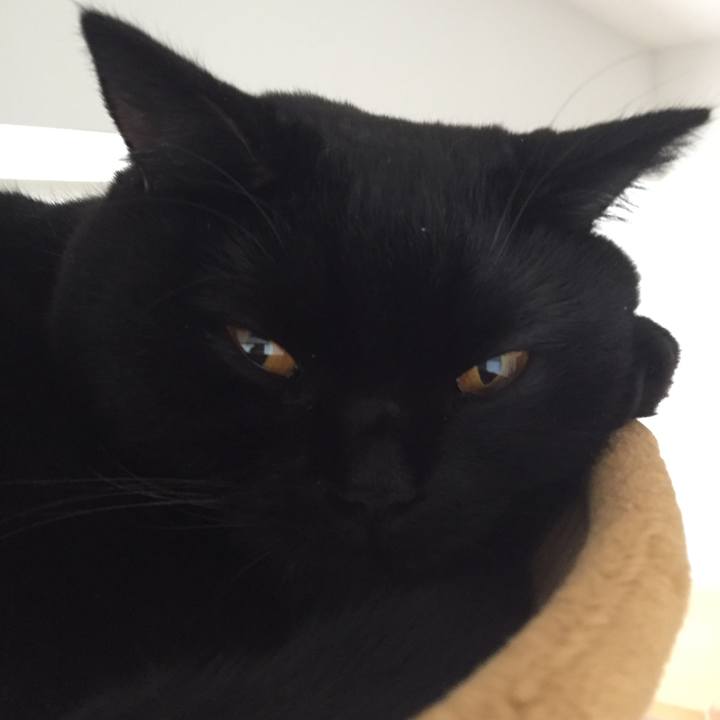 00fda04b 4937 4a0f b559 c0bc5329d511 1508106012879