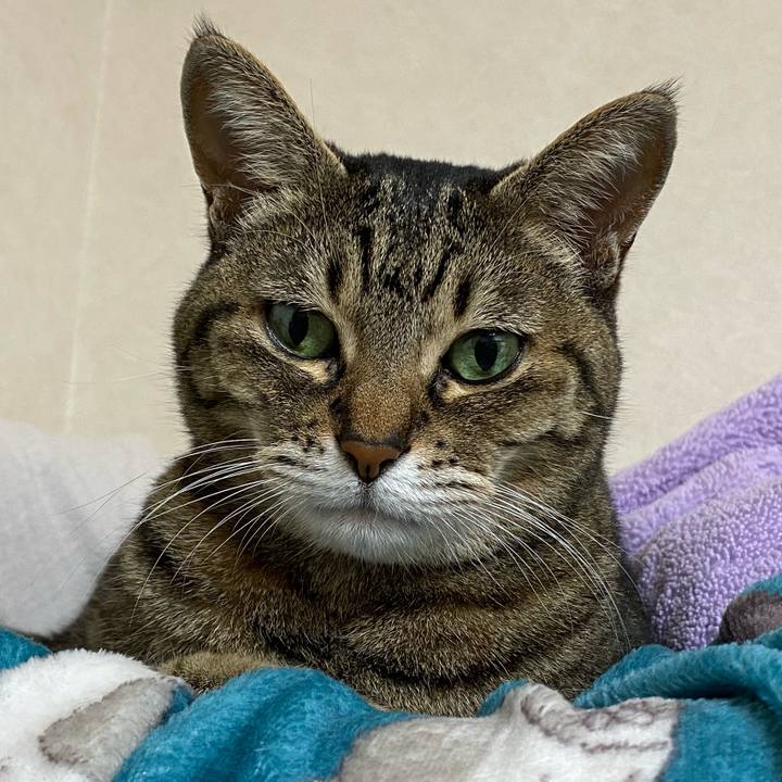 00fddbab d57a 493c 8d49 8583dd4d56a9 1771048048712