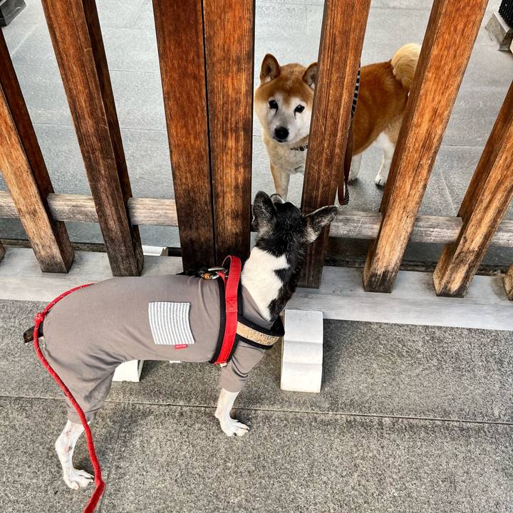 00fdfe19 b9c3 4058 871b 03208cb74b3d 1647083278359