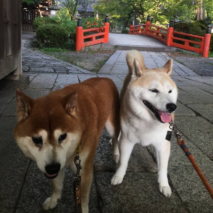 00fe029a 0da9 4c83 9a98 362d25d90735 1531522334851