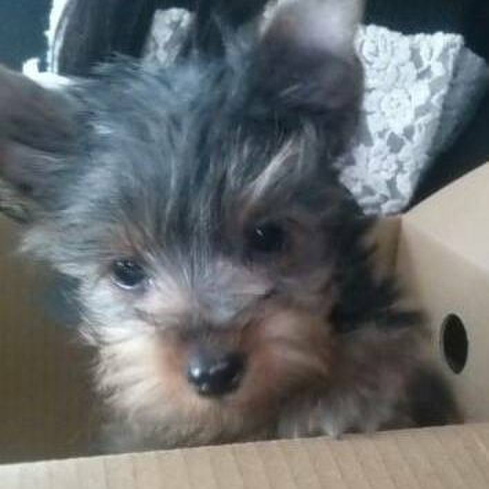 00fe1adc ba69 42b7 9afe 0e375fce6a08 1535160121061