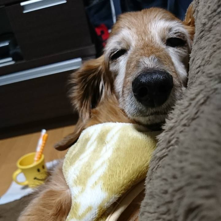 00fe1b2c fd76 47ab 9456 dd44c2a7e52d 1516896309995