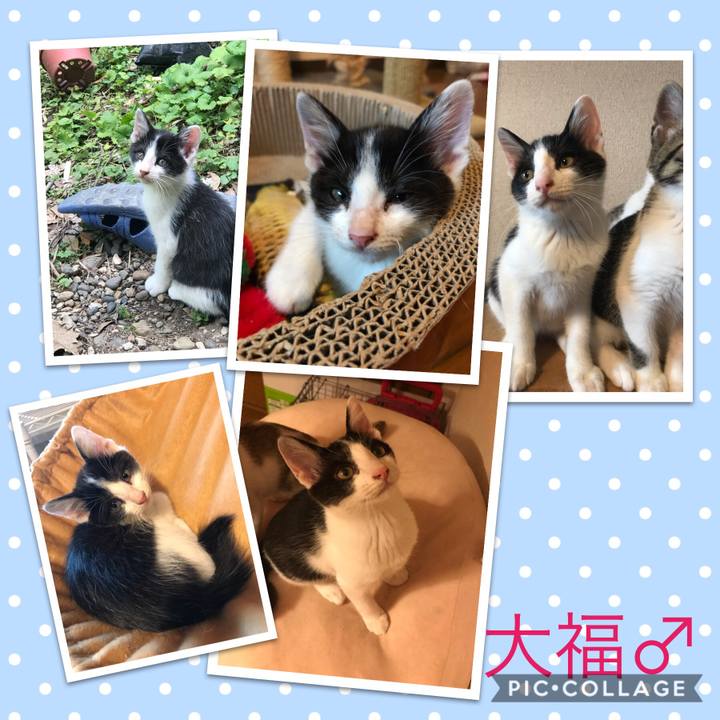 00fe2577 6c46 40e2 80a7 574cc36eec5c 1599479247147