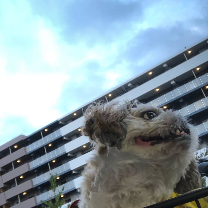 00fe8bf5 a647 442e 94b9 a8f35f90d4b5 1567202327188