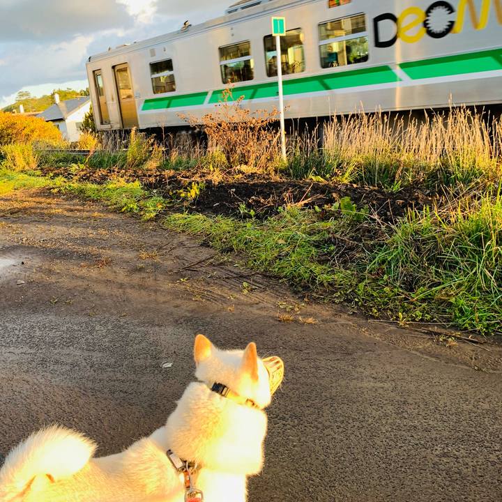 00feb082 234c 471d bc5f 5dc62faee3e9 1603061396221