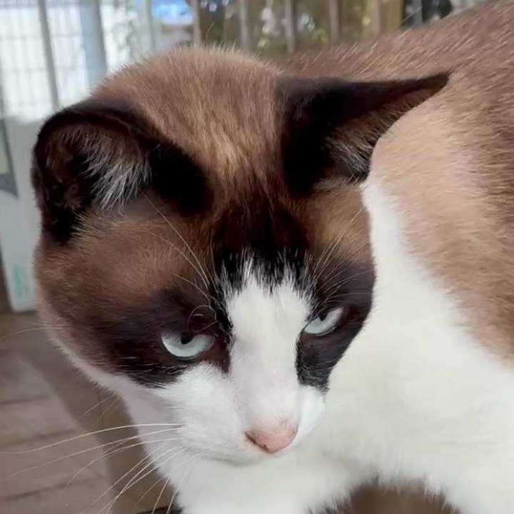 00feda2c 1194 40d6 9e17 9b521653b45a 1749005369483