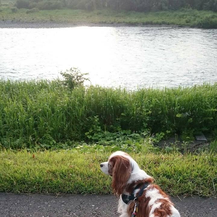 00fedf01 a108 40b8 8667 49606a58ddb2 1562102433646