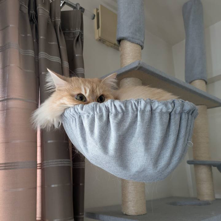 00fee0c5 4aa9 416c 9d8f 9d05eb284d19 1747360168713