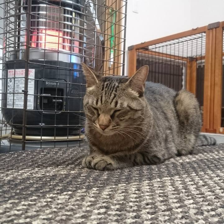 00ff2cc0 f275 48a6 8b18 cc0cfc4a6499 1508413396848