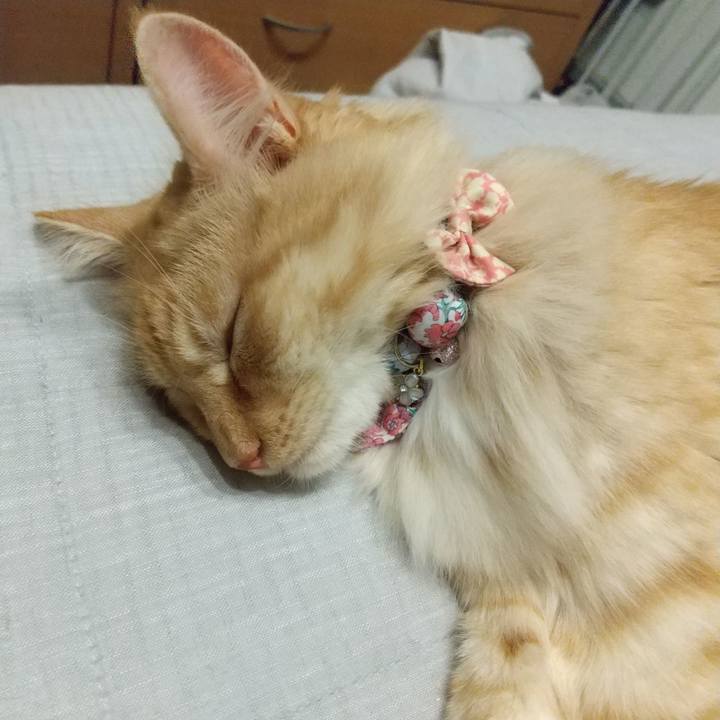 00ff368e 9f47 437d 96c0 3f3ca76b39ad 1630072295037