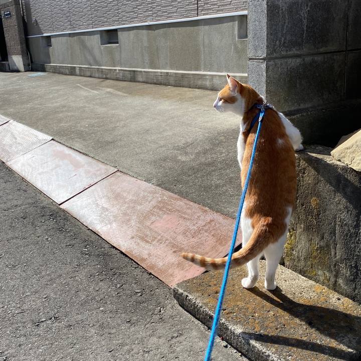 00ff3ce6 d05b 4ff7 aeec 4be015122778 1580543256886