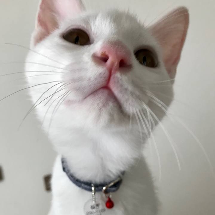 00ff87bb b380 40ab 89be d54b25530bda 1569064976507