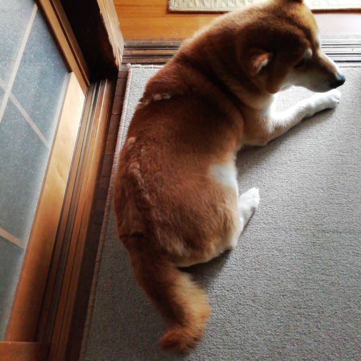 00ff8eae cfb7 434d 8dcd 68819edc30d7 1622015195568