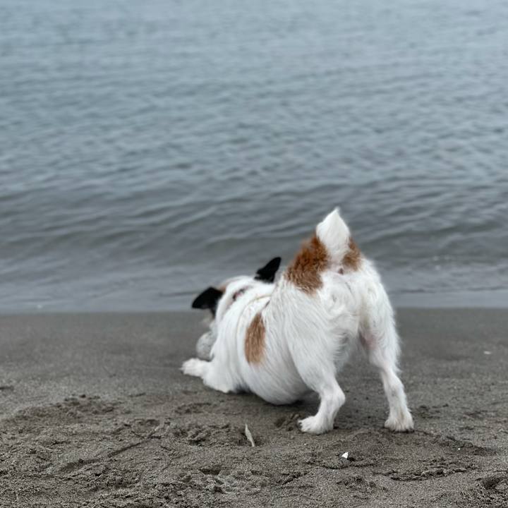 00ff9e02 f4f7 4a1f 8872 18a8da4aa081 1617492858666