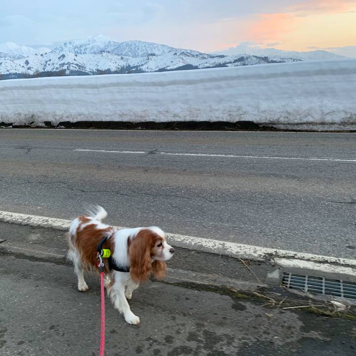 00ffab76 eb52 420d 8296 01cbce377d4f 1611823513984