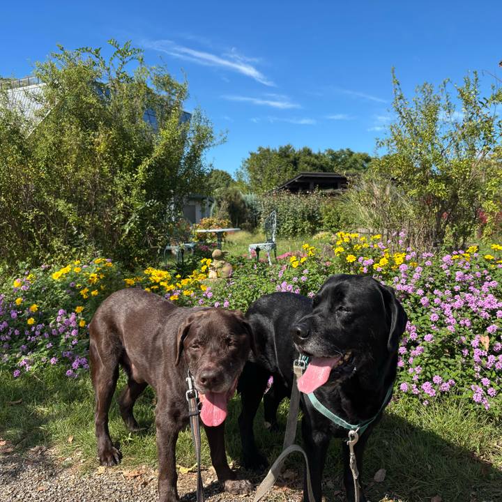 00ffd60d 43fc 4657 a234 0493443595d7 1760791819586