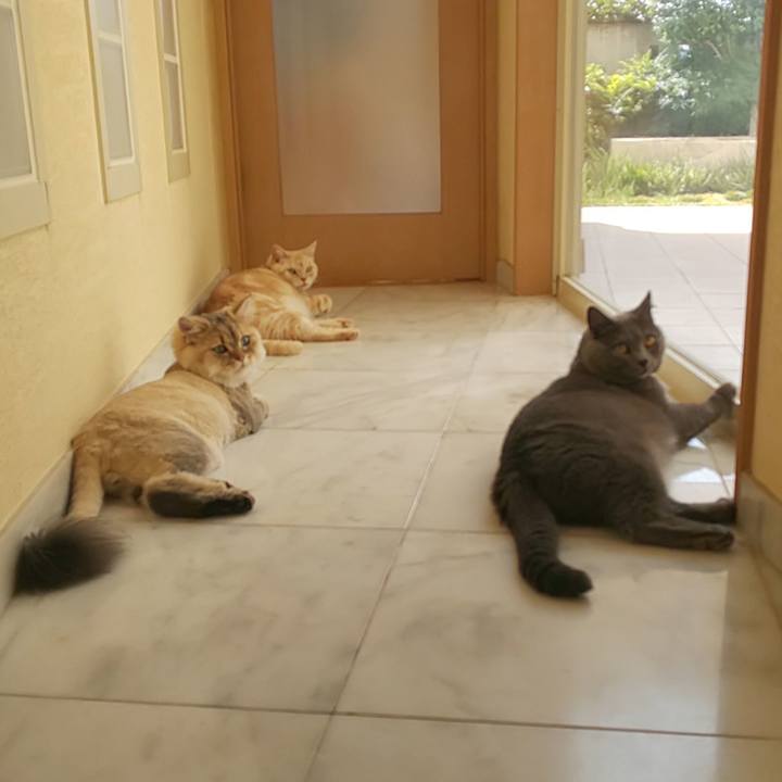 010001f1 de7d 46de a3d3 6fc2d870766b 1598920823077