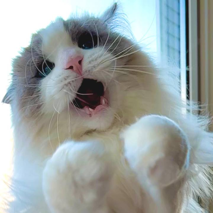 010011f7 280f 43a4 b239 23d2a7b7c8b3 1645679796778