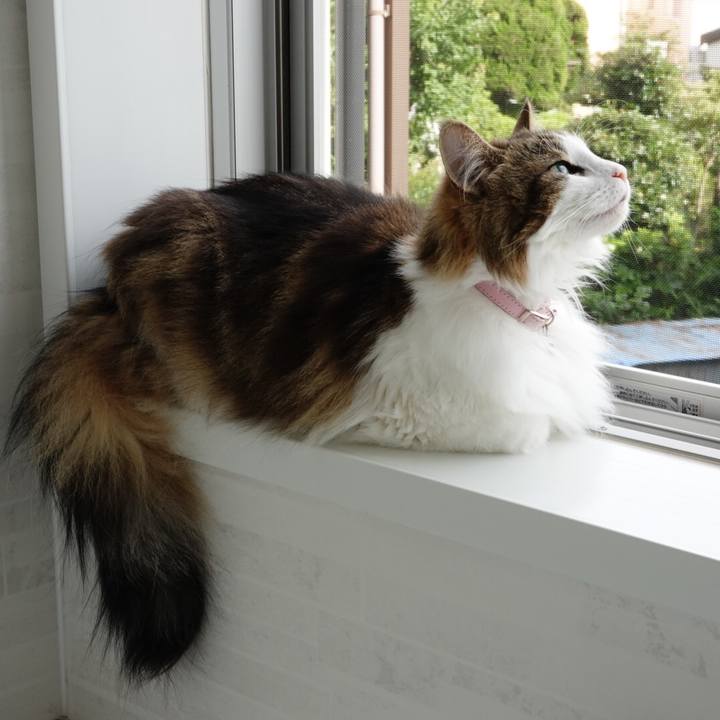 0100287f b008 4d83 9d4f 771639efc08d 1594195212405