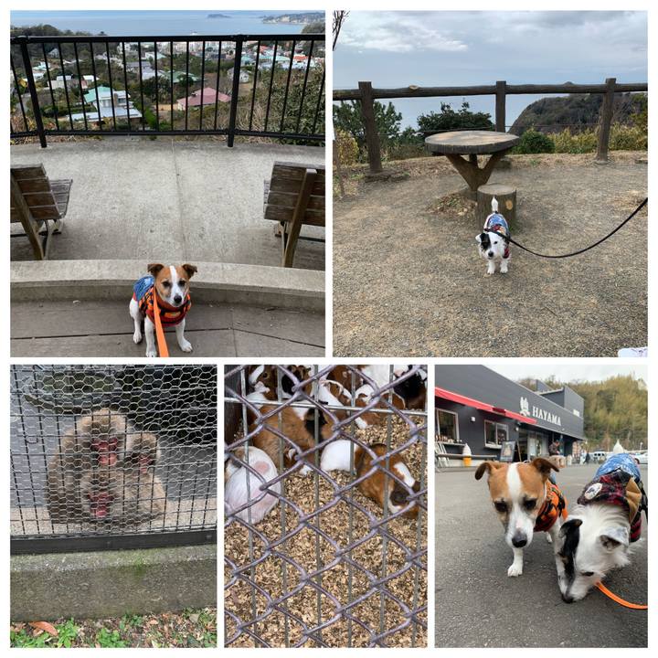 0100528c 2339 49b6 afbf 5797f9fa09a9 1578800598644