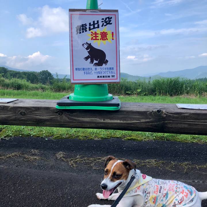 01005a27 2a07 44dd 9467 1171c4016e08 1596349540568