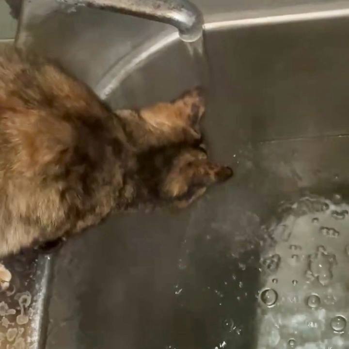 01005b89 820a 4910 b7d3 5def581a1c42 1768941816123