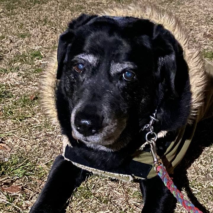 01008f29 d903 43e7 94d3 782cc219b6a1 1677662486043