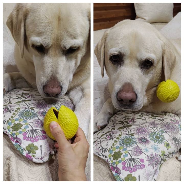 0100c8c0 609e 4173 9dbd b86c09a46016 1730287859096