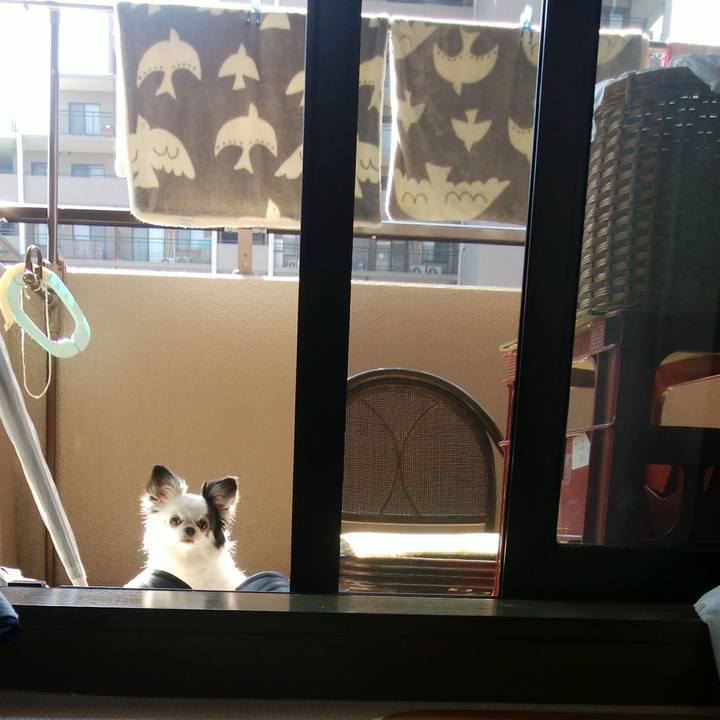 0100d133 1bd8 4651 9ab0 e8906dadcfb2 1521958390875