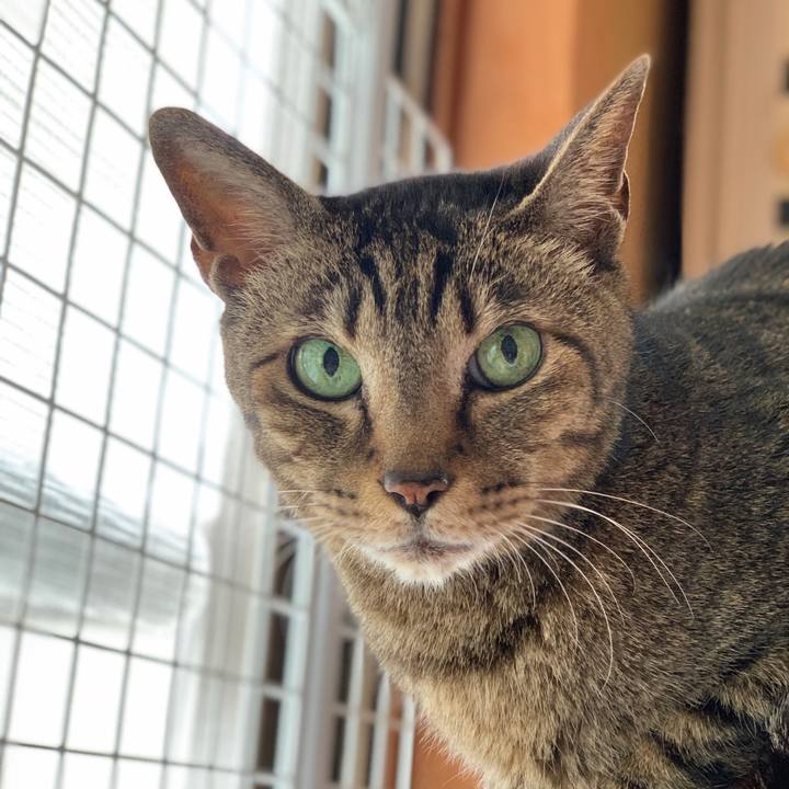 0100e6ab fa7c 4201 b514 ea215b2991f5 1589935426042