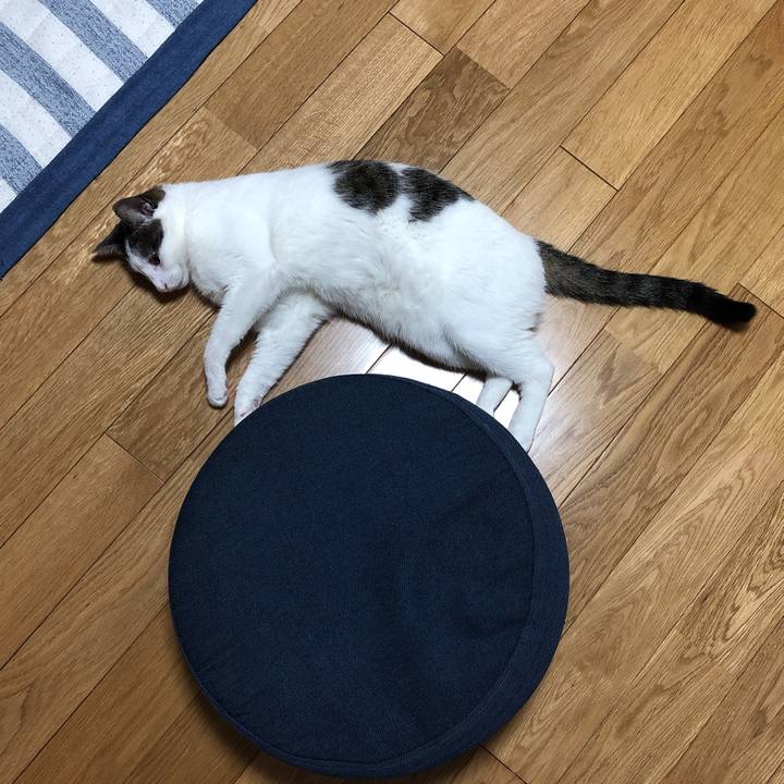 01011bd4 3668 4f8f b9cb 0b9b3bd8b49a 1596197505440