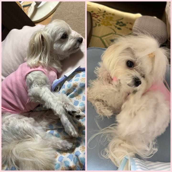 01012666 9a78 4bc9 9f13 460e35a35c40 1757847531014