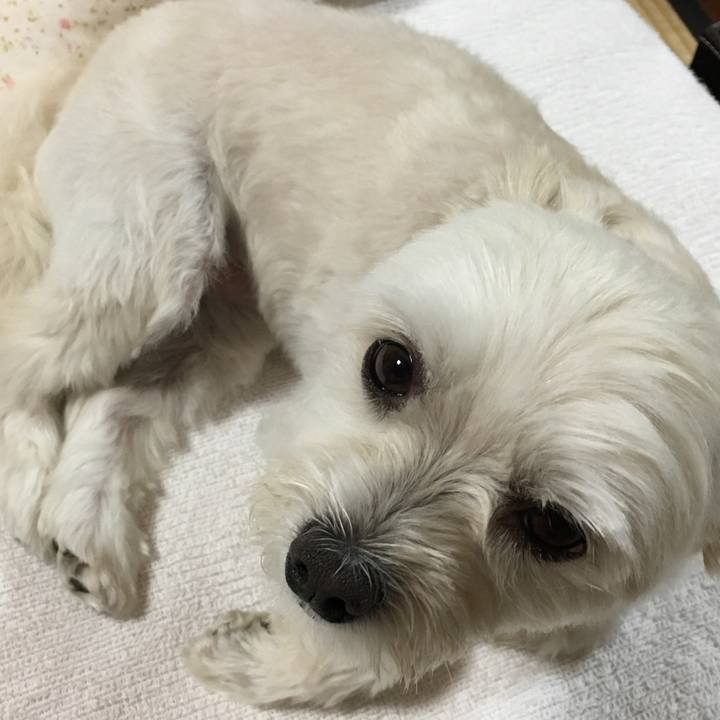 0101401c ad67 493b b196 3376d903a055 1561371544118