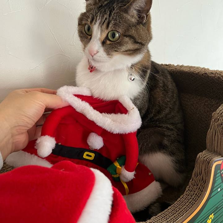 010166a8 7b8b 49cf ac18 2df02617edc3 1766469366336