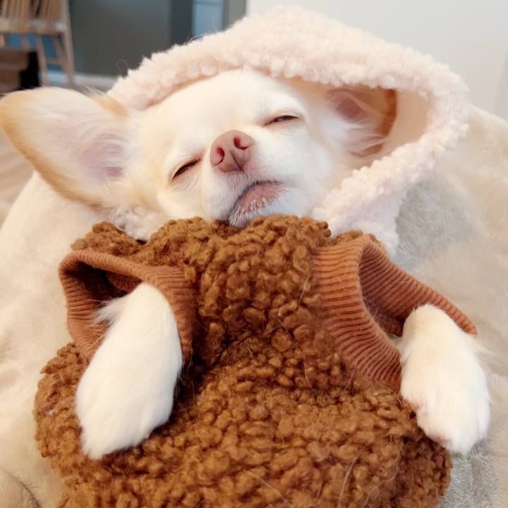 01016f95 7f9b 46b6 97ca a2f1b52ff744 1700207381177