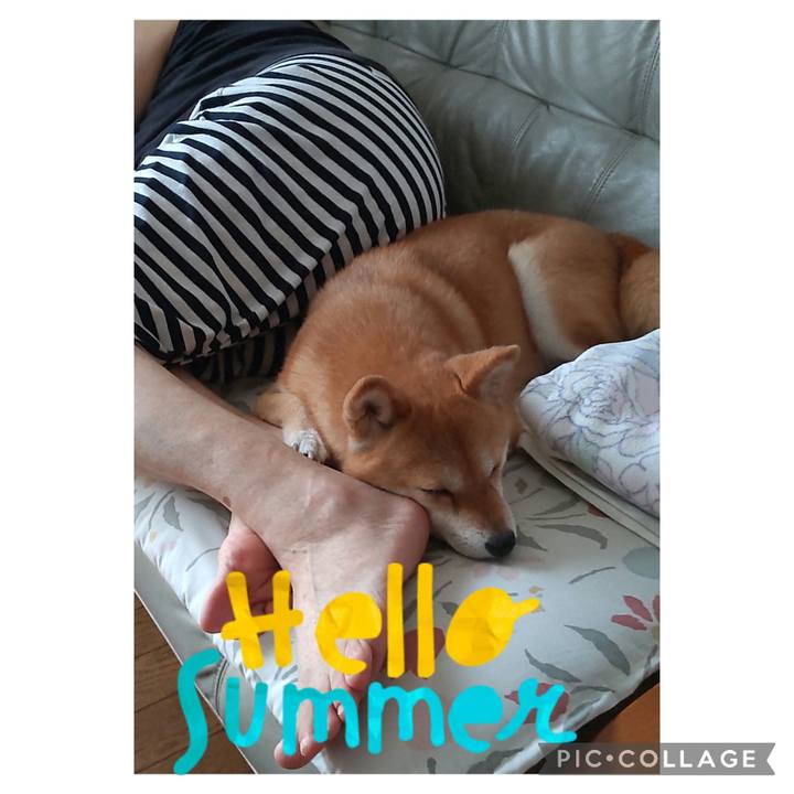 0101b2cc 3585 4f2e baaa dea1d4189c35 1720158570318