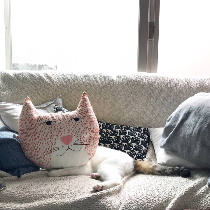 0101e882 82dd 4537 b606 327612849e3b 1528175210850