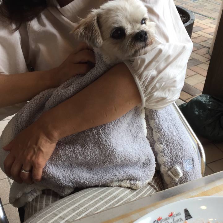 010223a0 6d62 496f a735 c2eb7583a455 1563177391691